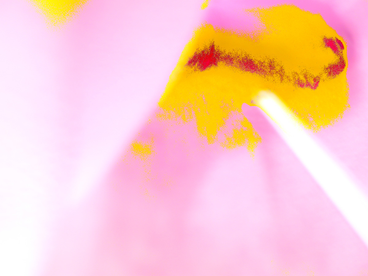 Camera_Graft_Shot_01_Pink